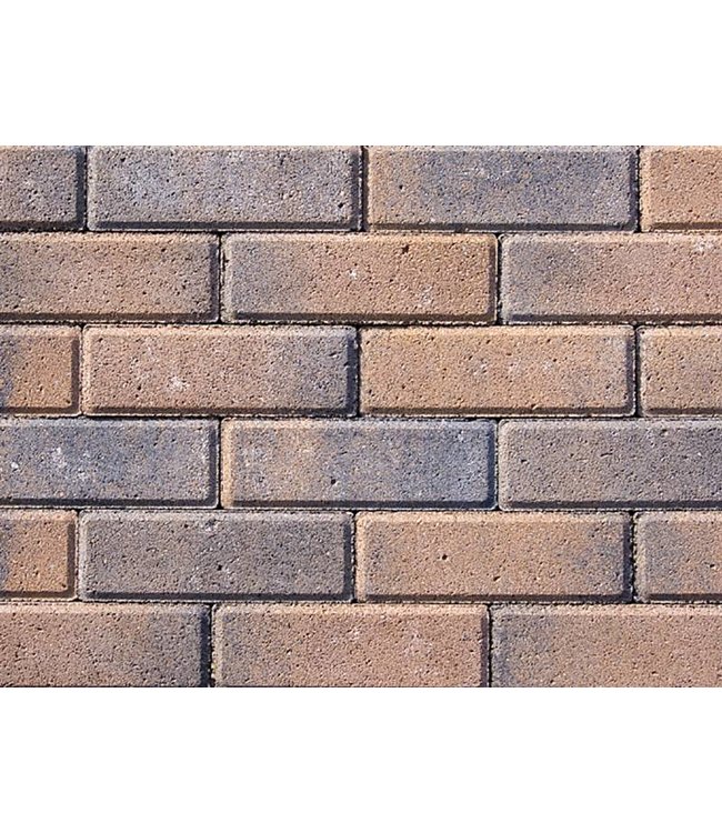 Tremico Dikformaat Brons 20x6,7x6 cm