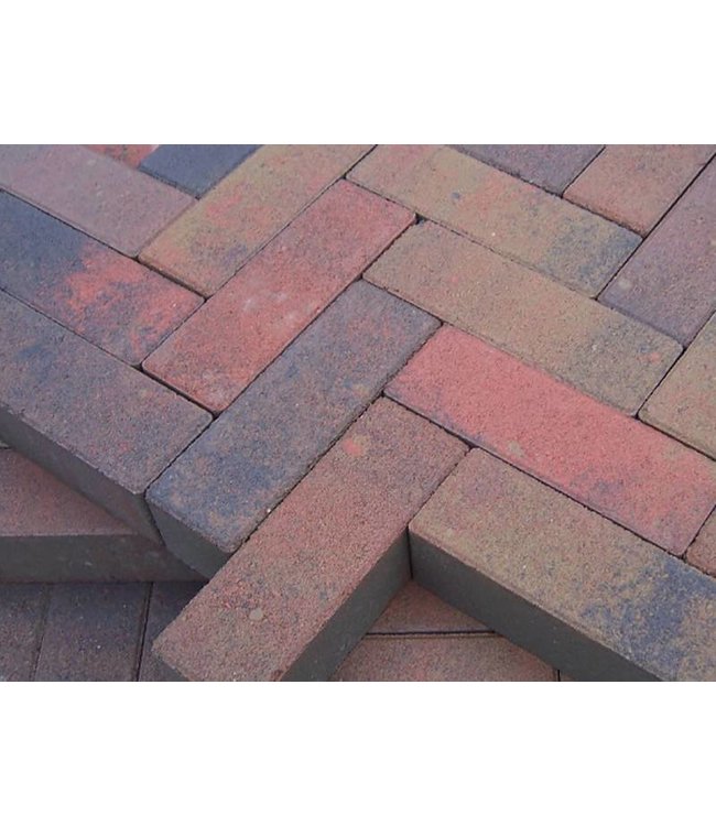 Tremico Dikformaat Oud-Bont 20x6,7x6 cm