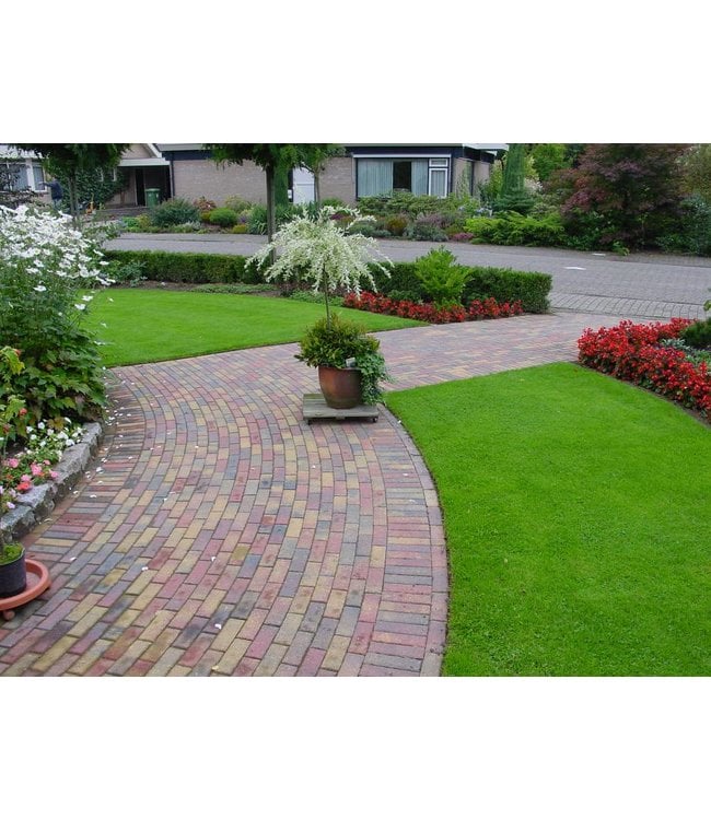 Tremico Waalformaat Bont 20x5x6 cm