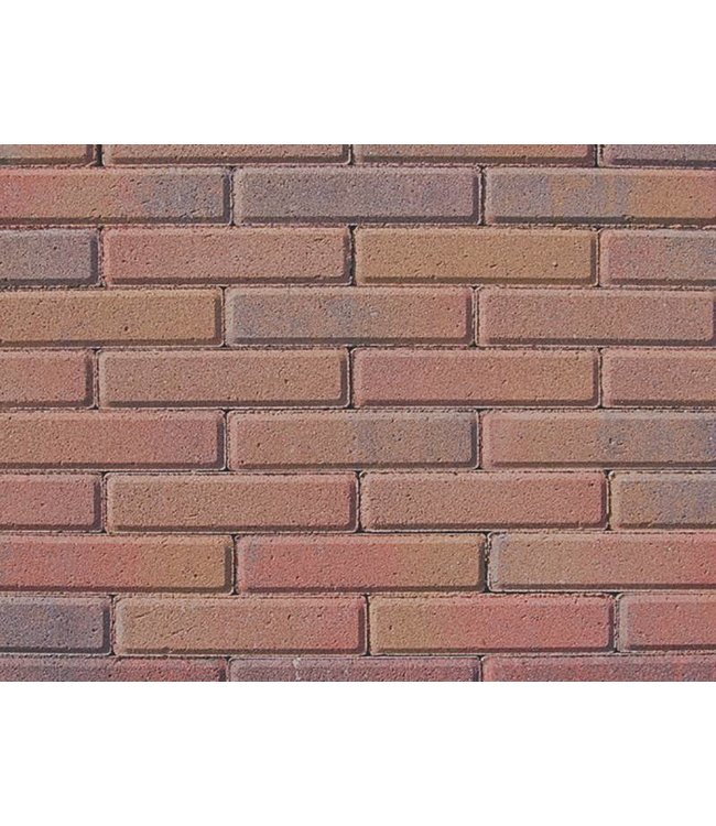 Tremico Waalformaat Oud-Bont 20x5x6 cm