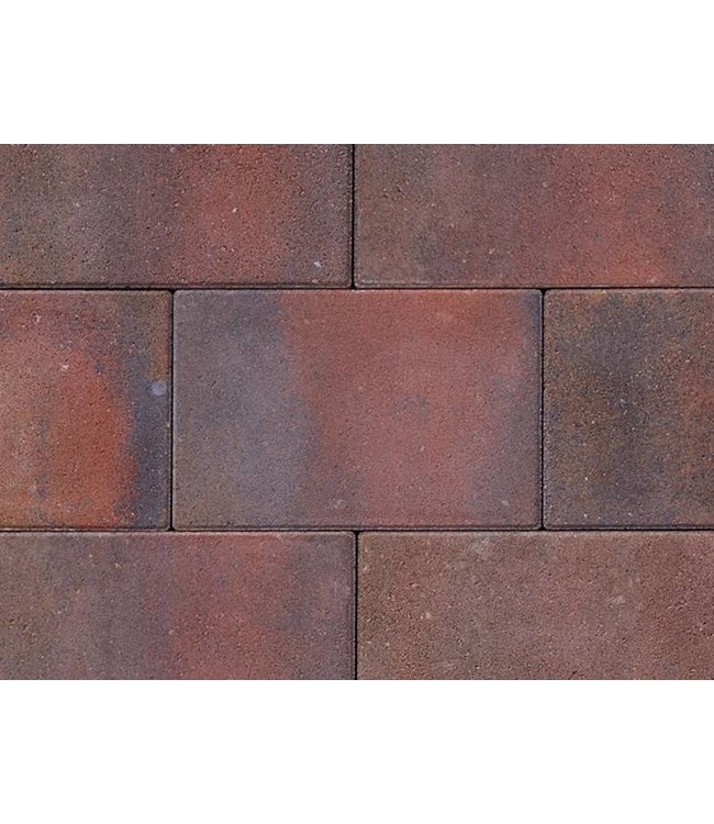 Tremico Oud-Bont 20x30x6 cm