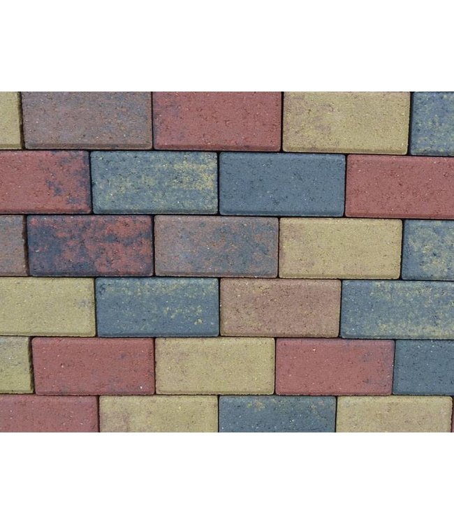 Betonklinker BKK Bont Genuanceerd 21x10,5x8 cm