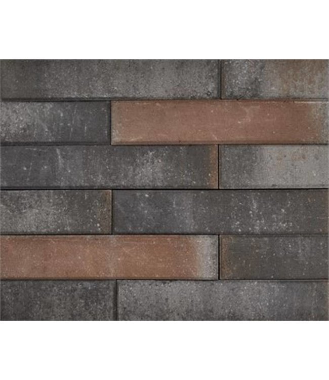 Wallblock Texels Bont met facet 60x12x12