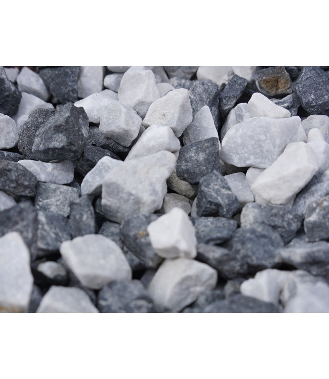 Zeebra Delux 8-16 mm