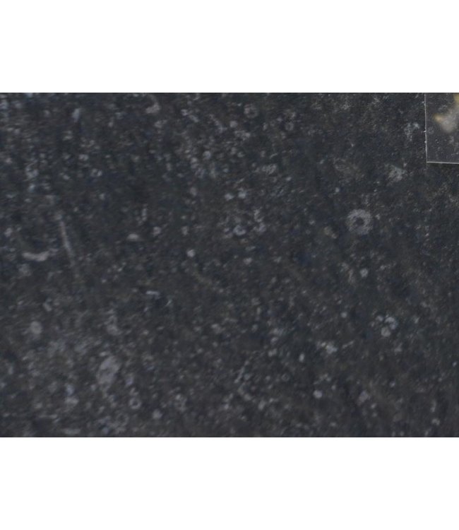 CE Spectra Dark Grey keramische buitentegel 60x60x3 cm