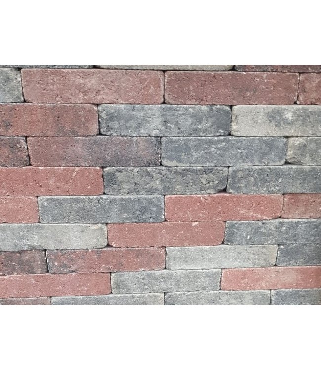 Waalformaat Twents bont Getrommeld 20x5x7 cm