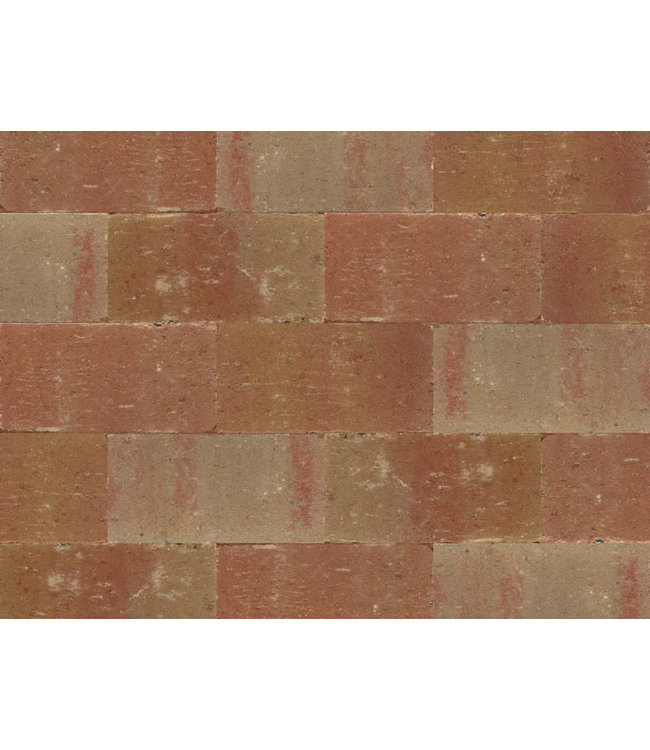 Abbeystones getrommeld toscaans genuanceerd