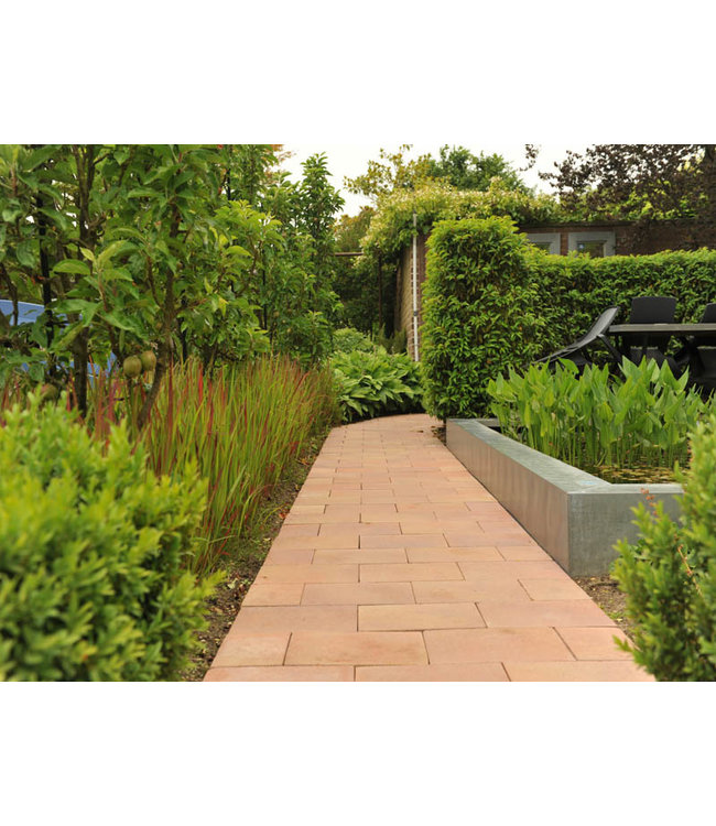 Abbeystones getrommeld toscaans genuanceerd