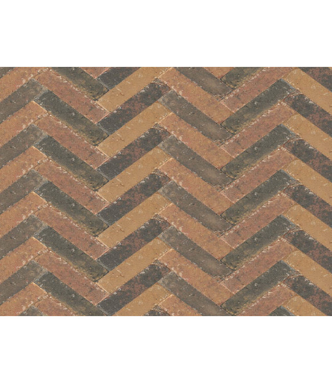 Abbeystones Waalformaat Zomerbont 20x5x7