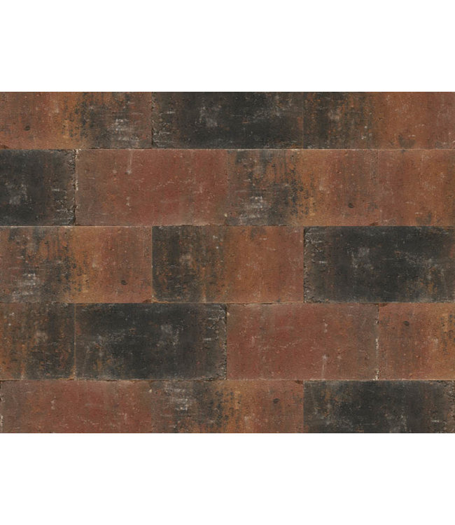 Abbeystones Getrommeld Zomerbont