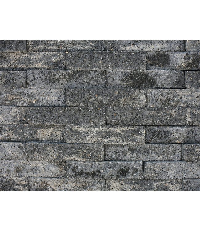 Catrock Grijs/zwart 31x11.5x10 cm