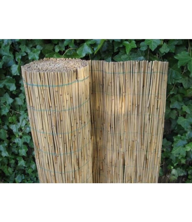 Rietmat Donau 3 maten