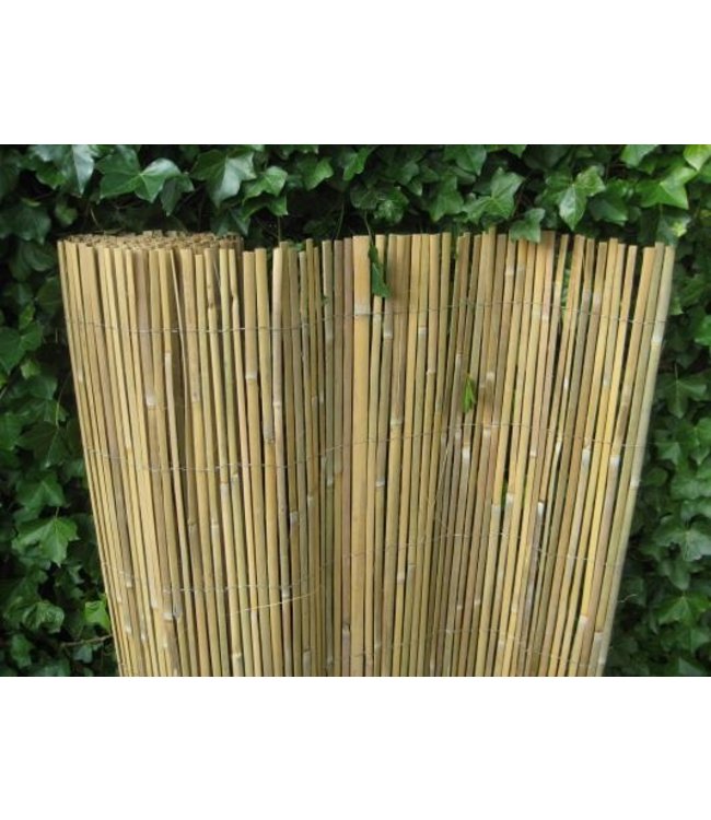 Bamboemat gespleten 200x500 cm