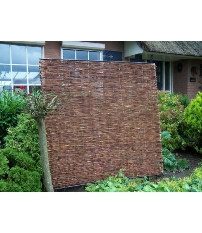 Wilgenscherm Stingray