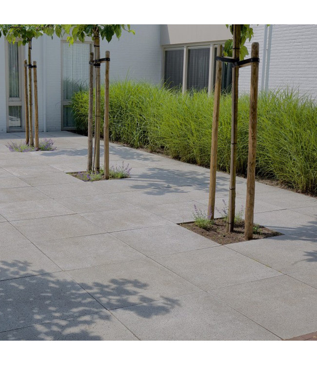 Schellevis Oud Hollandse Tegel 80x80x5 Grijs