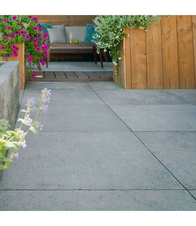 Schellevis Oud Hollandse Tegel 80x80x5 Grijs