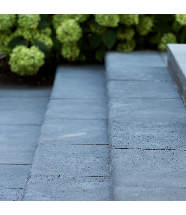 Oud Hollandse Trap- / Bloktrede Massief Carbon