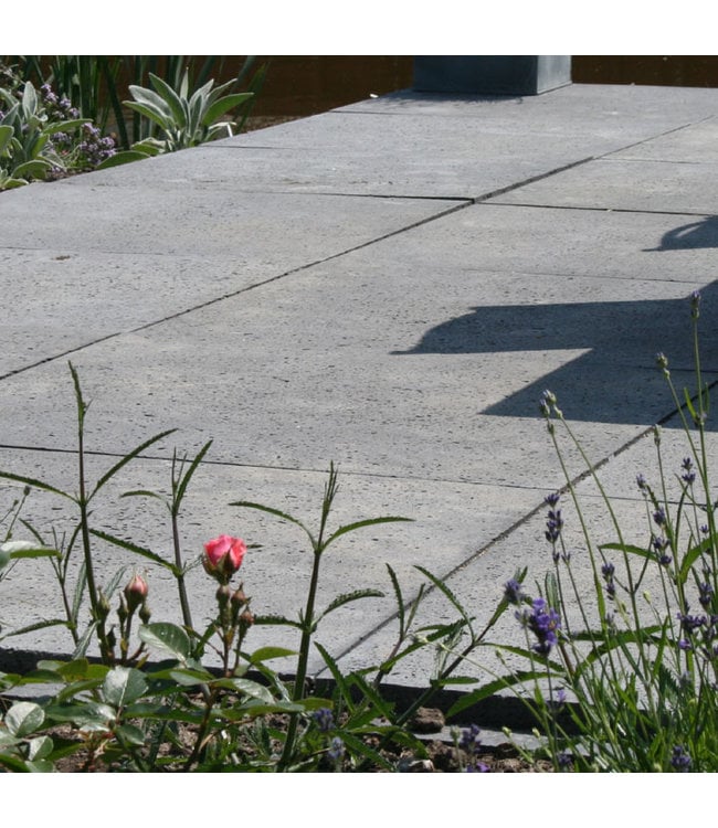 Schellevis Oud Hollandse Tegel 120x120x12 Antraciet