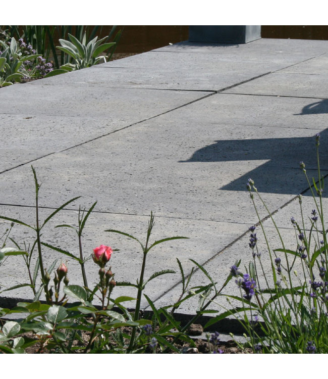 Schellevis Oud Hollandse Tegel 100x100x8 Antraciet