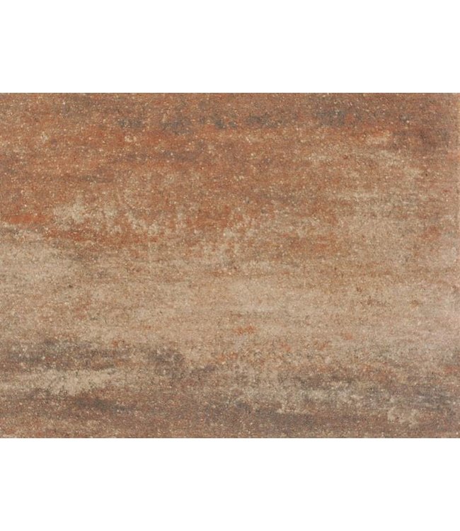 60Plus Soft Comfort Violetto 60x60x4 cm