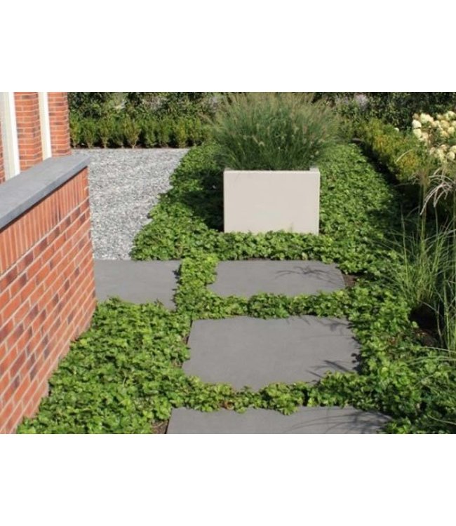 60Plus Soft Comfort Nero 60x60x4 cm