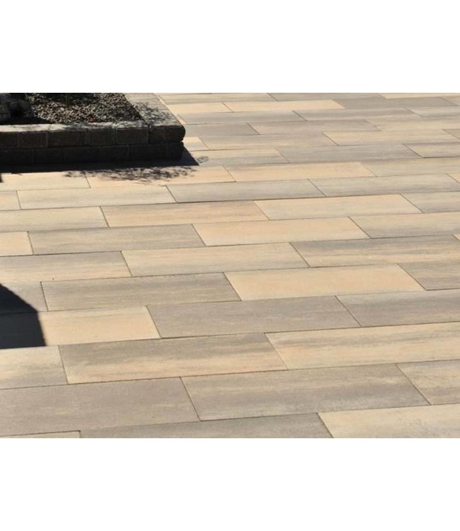 60Plus Soft Comfort Giallo  20x30x6 cm