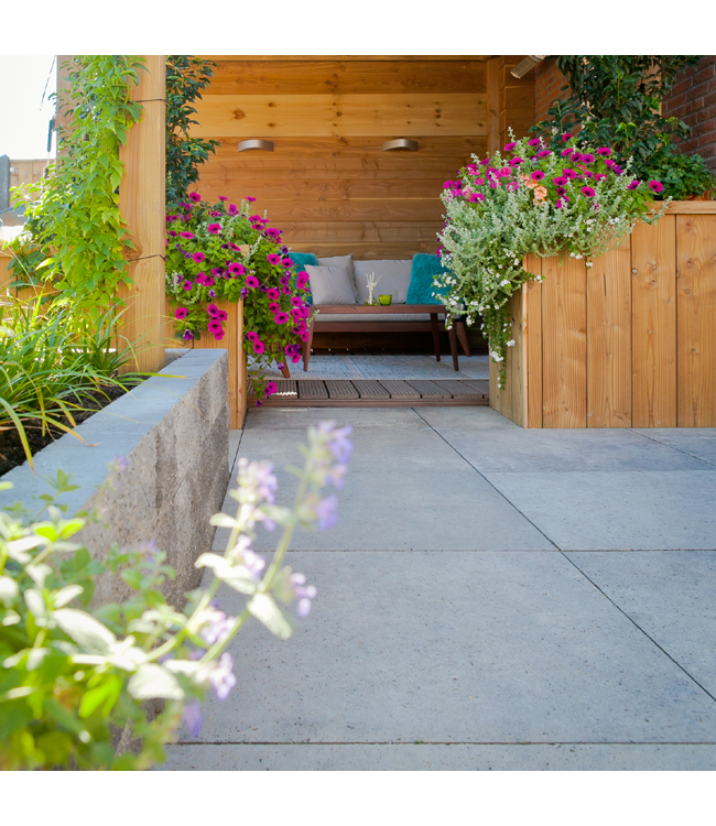 Schellevis Oud Hollandse Tegel 60x60x5 Grijs