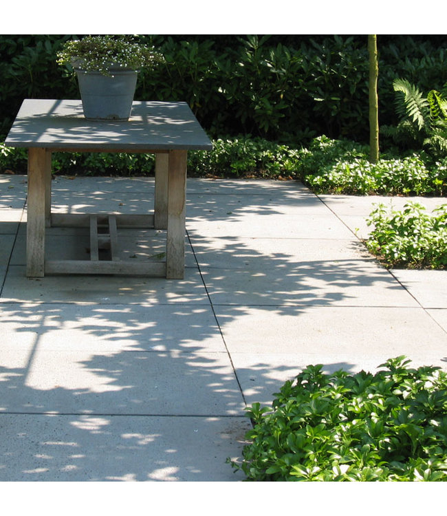 Schellevis Oud Hollandse Tegel 100x100x5 Grijs