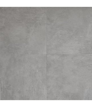 Newport Grigio 40x80x3 cm RR Keramische buitentegel