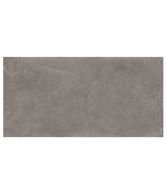 Keramische Buitentegel Pisa Grijs 40X80X2 cm