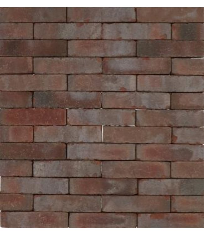 Gebakken waalformaat Rustiek Snake paars-rood