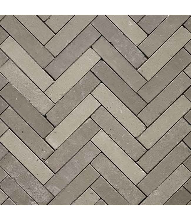 Gebakken Waalformaat bezand getrommeld Lotis grijs genuanceerd