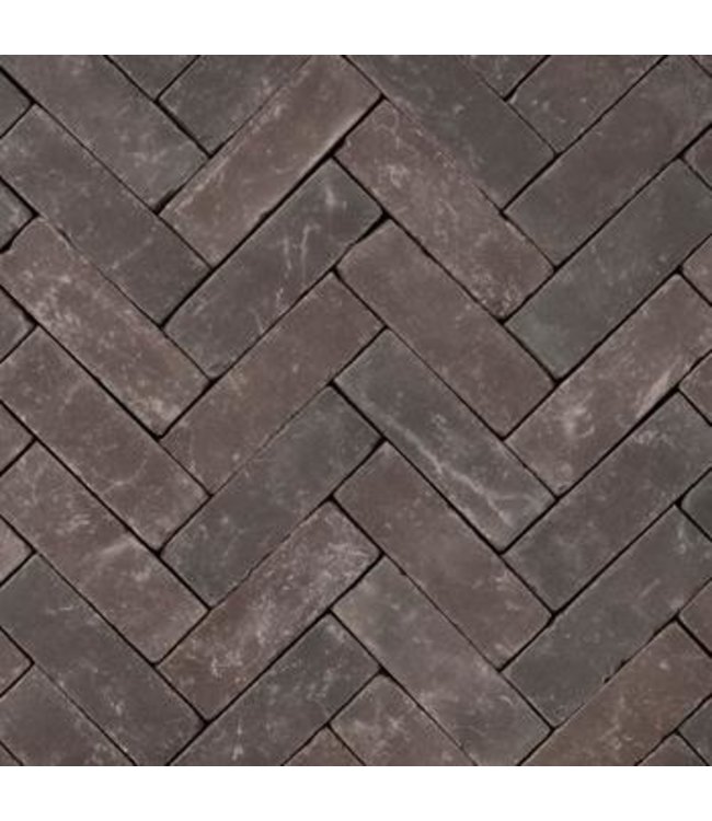 Gebakken Waalformaat bezand getrommeld Atlas aubergine-zwarty