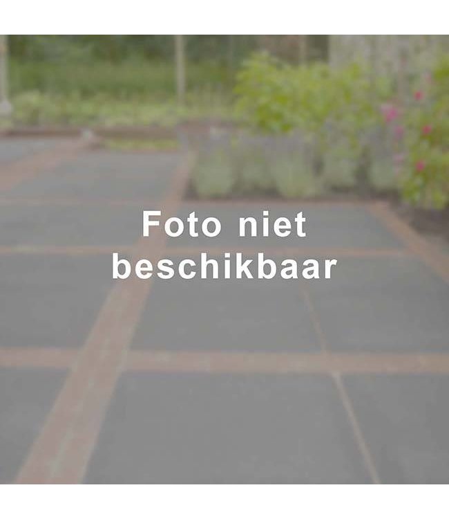 Steigerplank fijnbezaagd geïmpregneerd nieuw