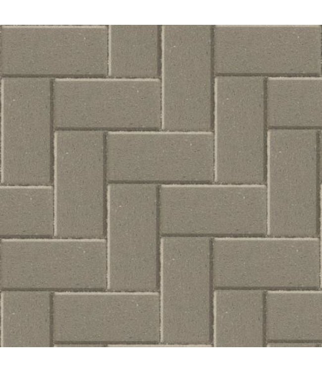Betonklinker BSS Grijs met deklaag 21x10,5x8 cm