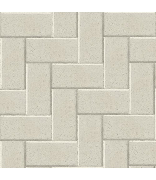 Betonklinker BSS Verkeerssteen Wit met deklaag 21x10,5x8 cm