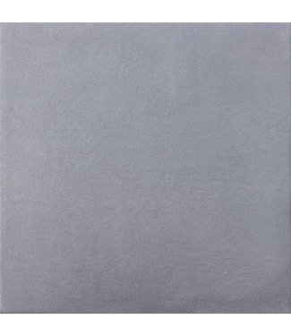 Furora Premium Facet Zilver 60x60x4 cm