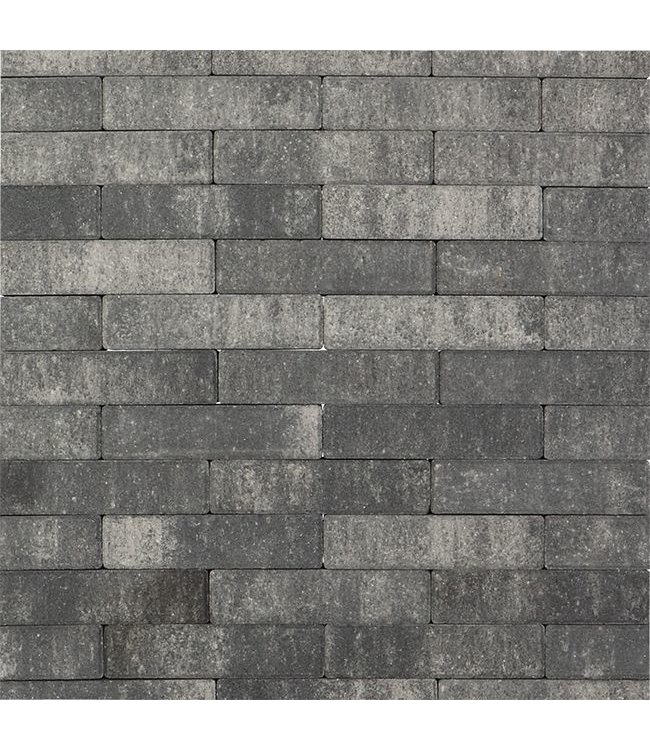 Betonklinker BKK Zeeuws Bont tremico 21x10,5x7 cm