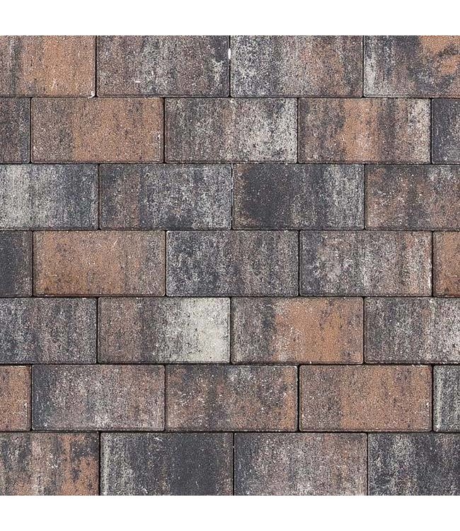 Betonklinker BKK Texels Bont tremico 21x10,5x7 cm