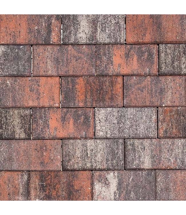 Betonklinker BKK Twents Bont tremico 21x10,5x7 cm