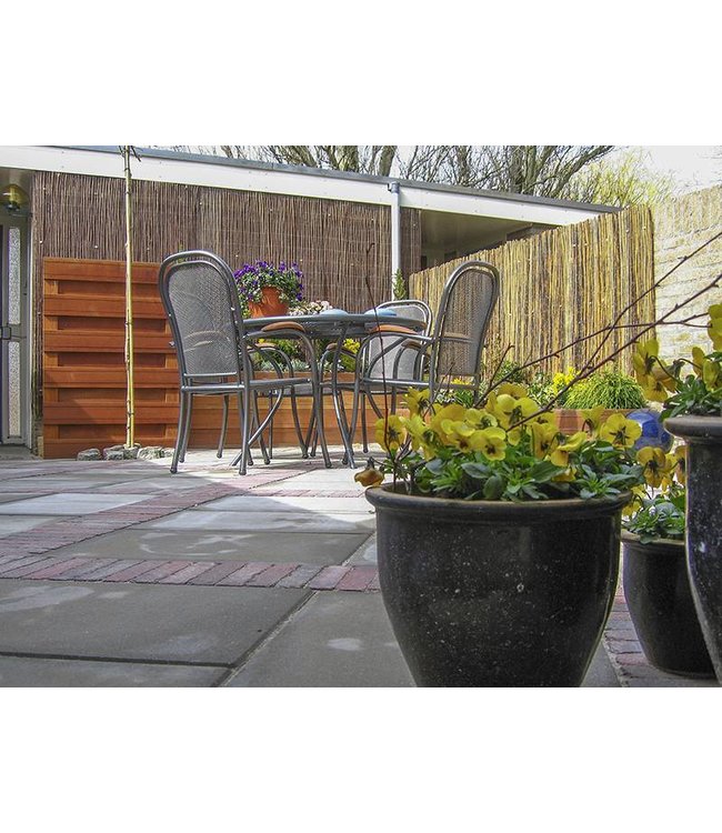 Betontegel Grijs zonder facet 50x50x5cm