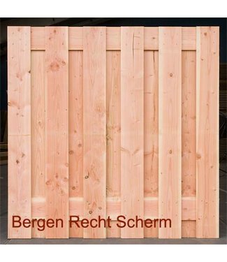 Bergen Recht Scherm 180x180cm