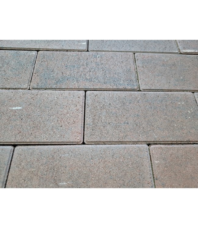 Cera Nueva linea Puerto dikformaat 21x6.8x8cm Carbon