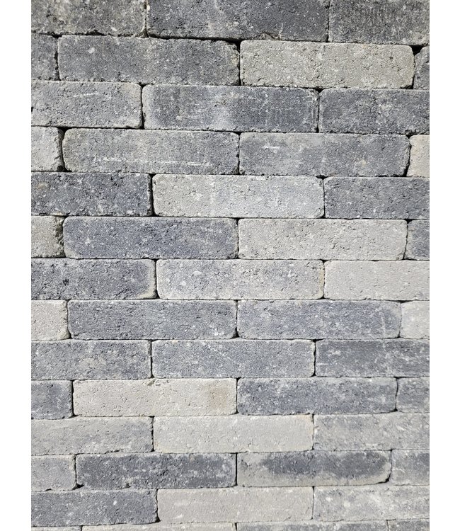 Waalformaat Grijsmix Getrommeld 20x5x7 cm