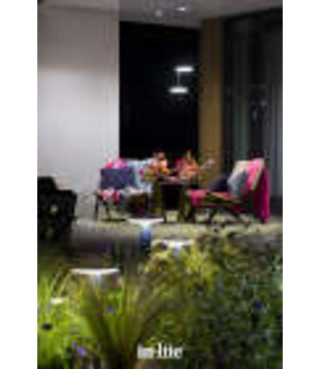 DISC PENDANT100-230V