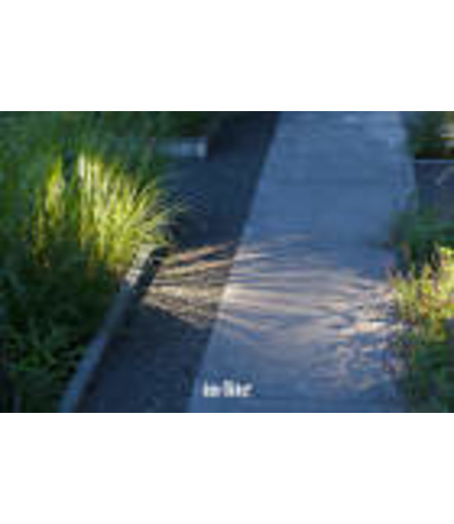 ACE HIGH DARK GREY 12V