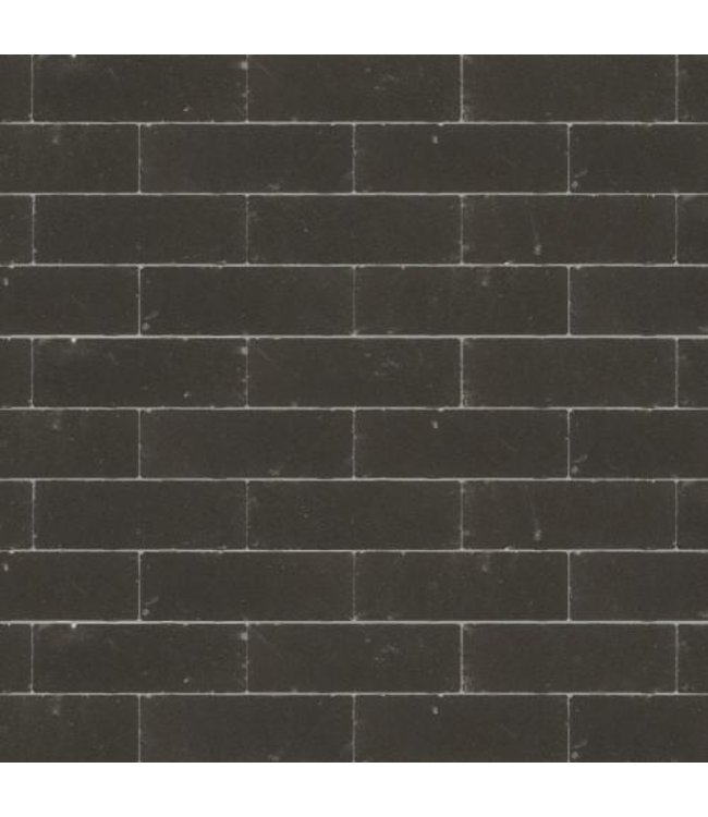 Bosoven WF Mangaan 20x5x7 cm