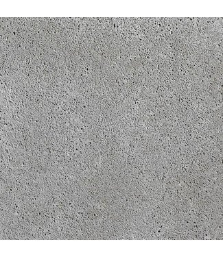 200x100x10 grijs Oud Hollands Schellevis