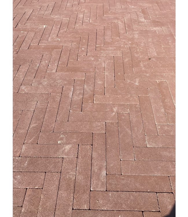 Magenta auxo Waalformaat kleurecht