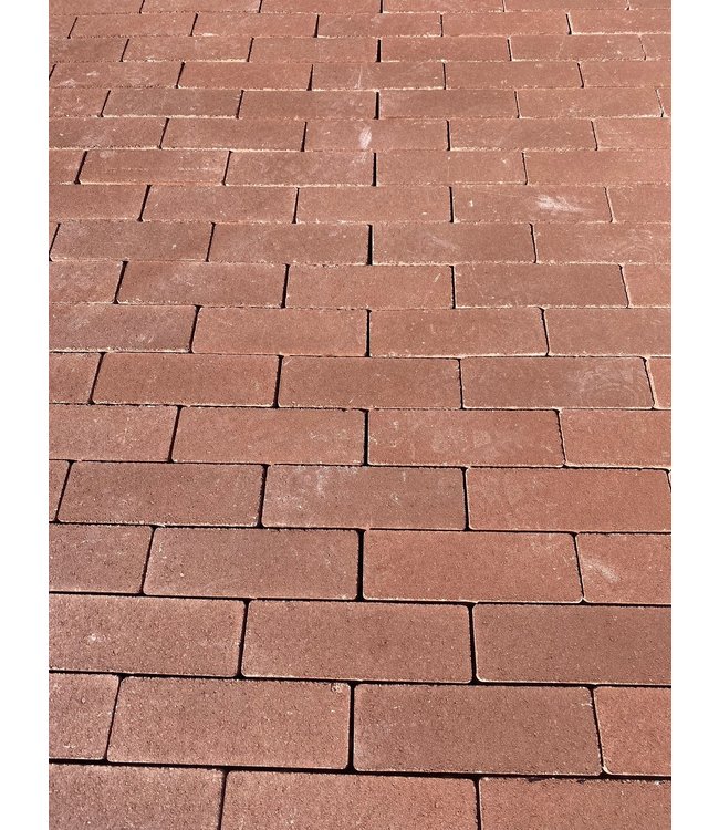 Magenta Auxo Dikformaat kleurecht